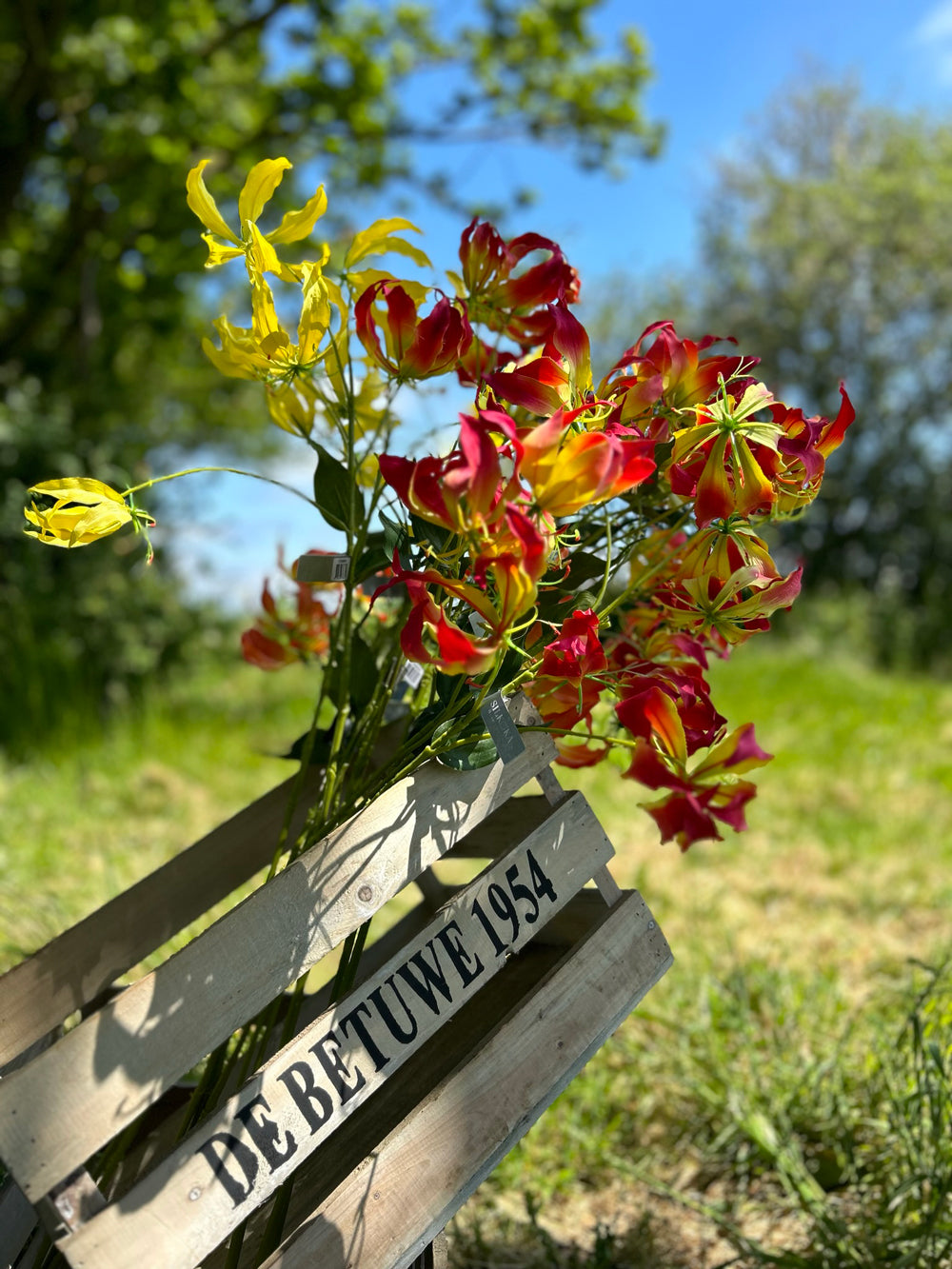 A group of faux lily gloriosa sprays in yellow, pink and orange, set against a meadow scene and bright blue sky.