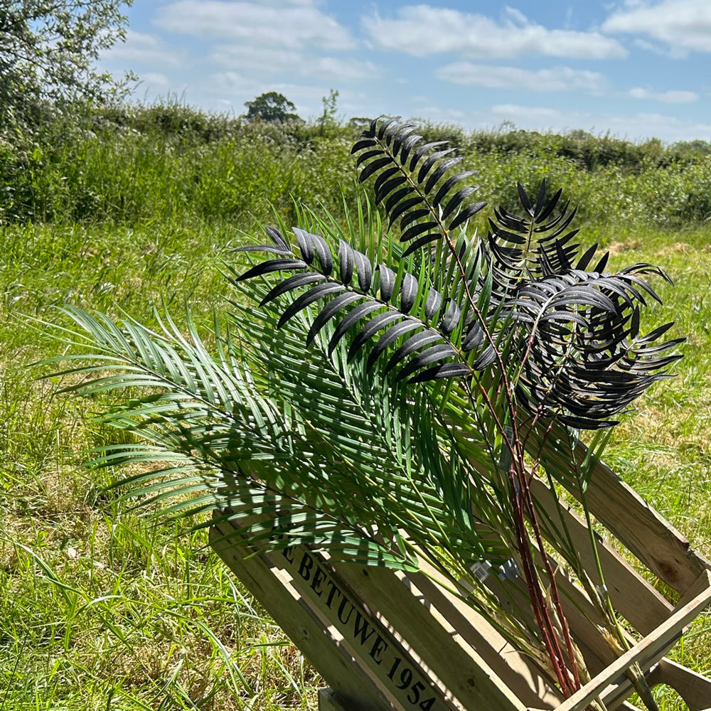 A wooden crate displaying both green, and black, palm frond sprays, against the backdrop of a blue sky and sunny meadow