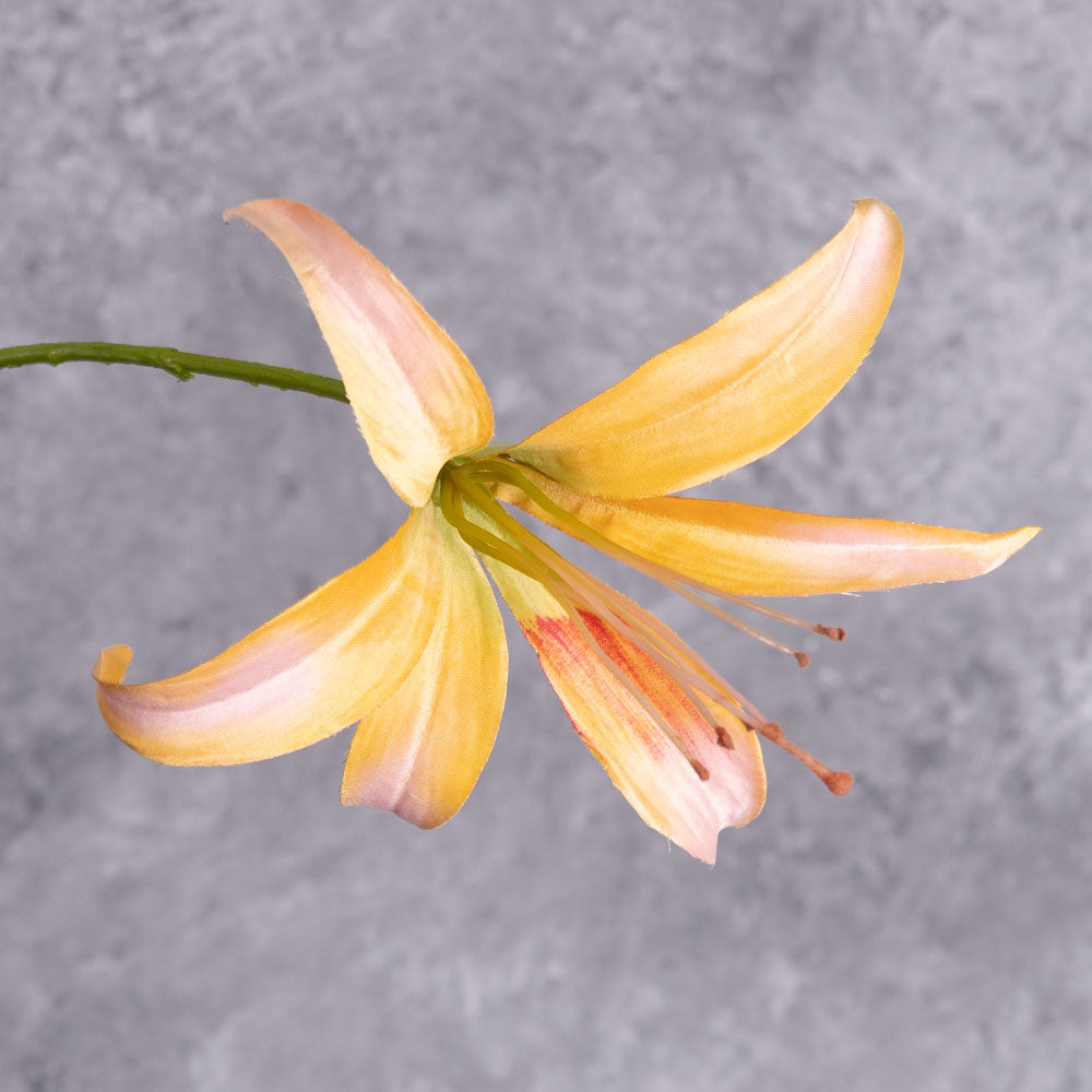 A close up shot of a single, faux lily flower in peach