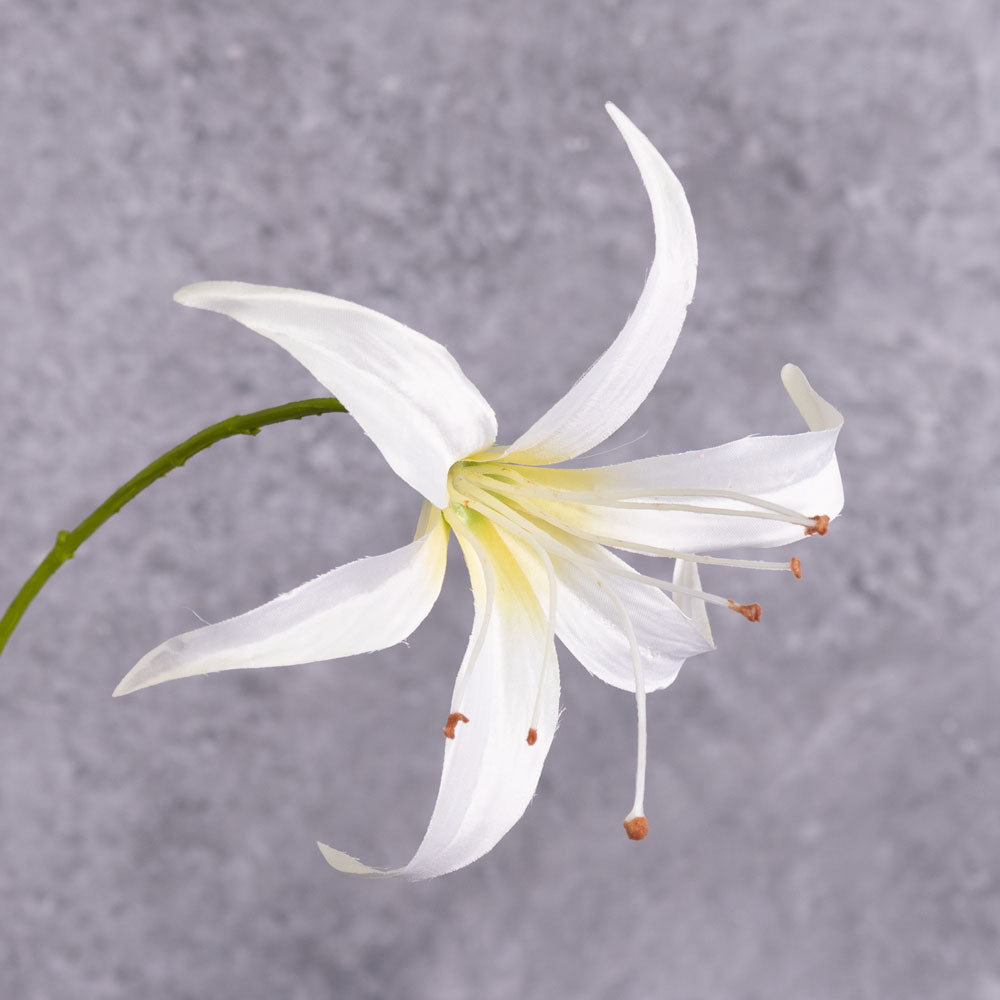 A close up shot of a single, faux lily flower in cream-white
