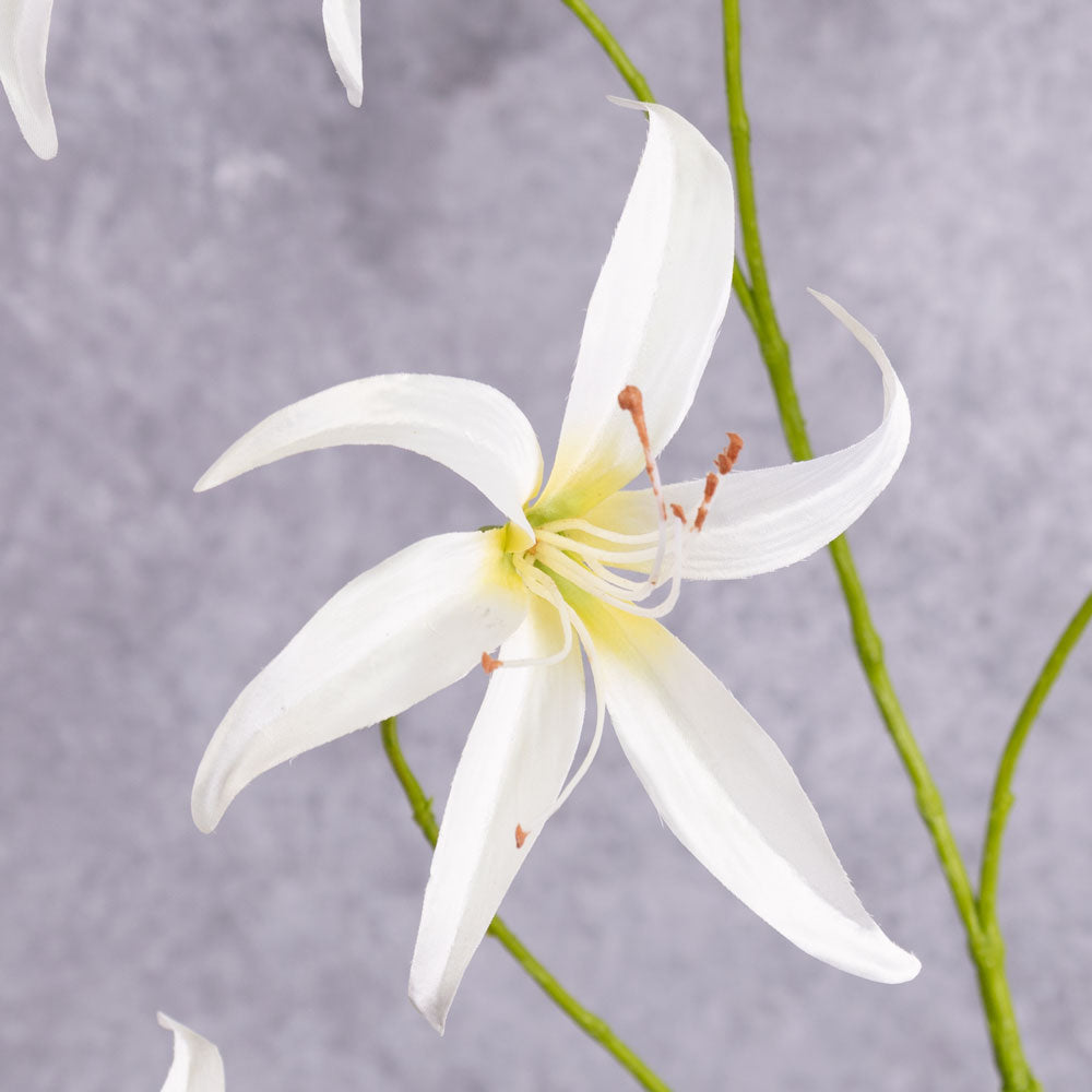 A close up shot of a single, faux lily flower in cream-white