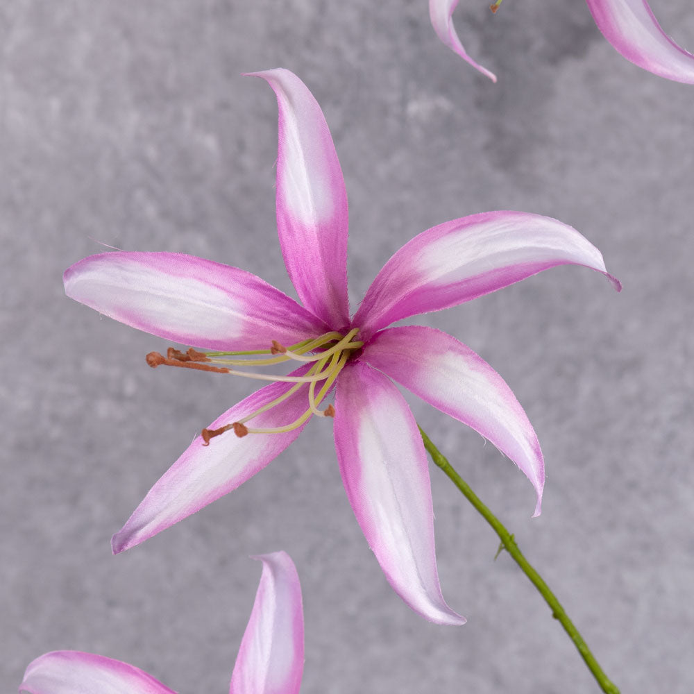 A close up shot of a single, faux lily flower in light pink with darker pink edges to the petals