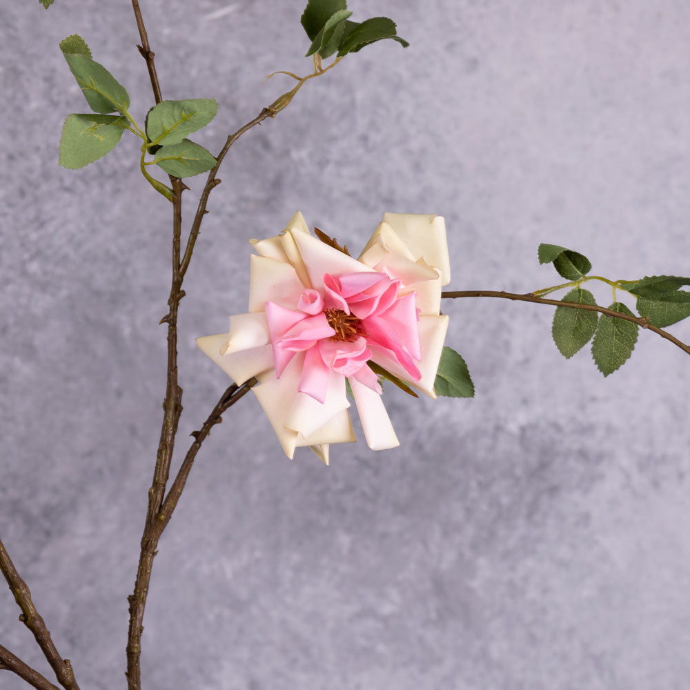 A close up of a single, pink rose