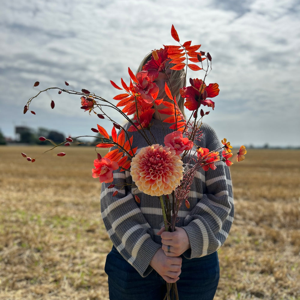 A large bunch of long-stemmed Silk-ka flowers in bold orange-red hues, against a cloudy sky and stubble field