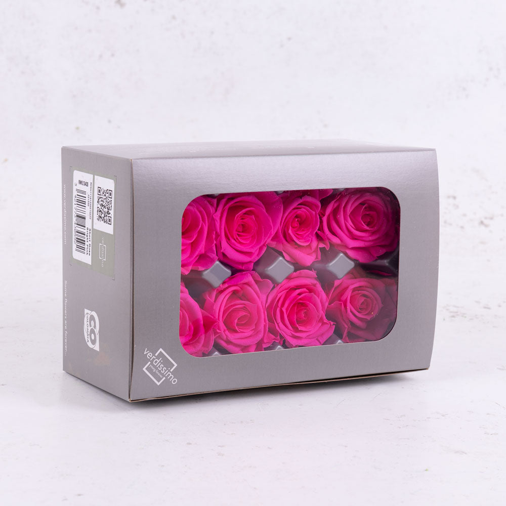 Rose Heads Preserved Med Bright Pink Box 8
