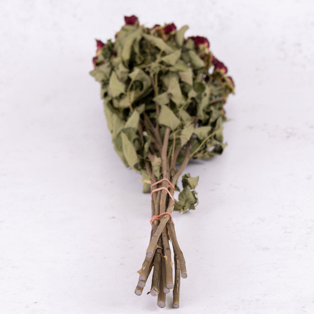 Spray Roses, Dried, Natural Pale Pink/Cream, x 10 Stems