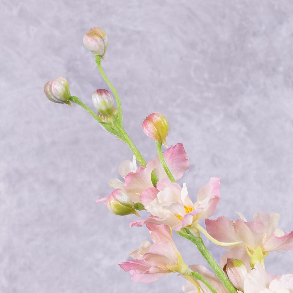 new in bunches